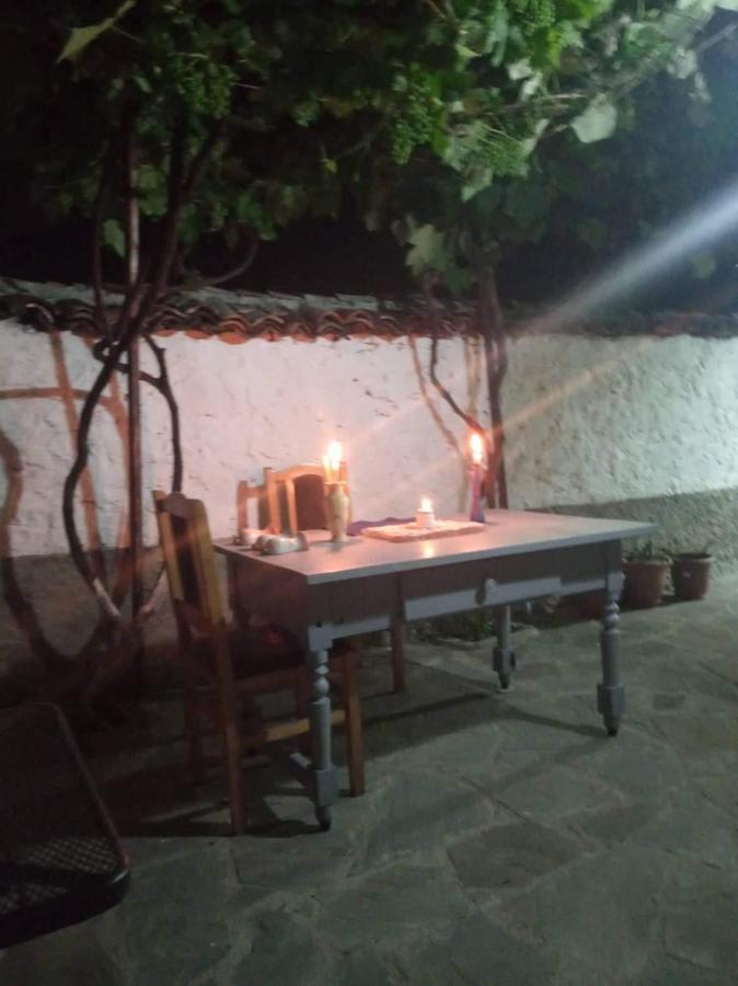 Green Housee Κορυτσά Εξωτερικό φωτογραφία